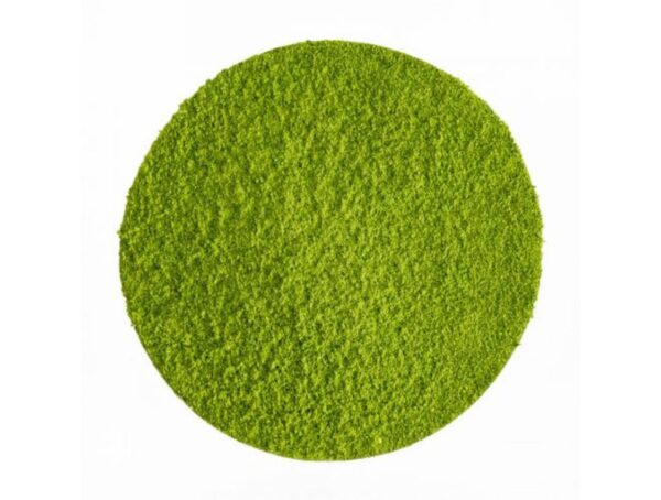 Matcha cerimoniale giapponese (1)